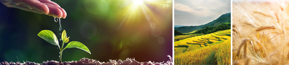 1604635112457043.png 未標(biāo)題-4.png